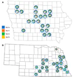 Comparison of Phytophthora sojae Populations in Iowa and Nebraska to Identify Effective Rps Genes for Phytophthora Stem and Root Rot Management
